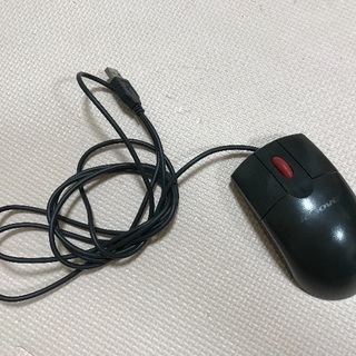 マウスNo1