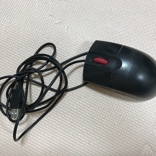 マウスNo2