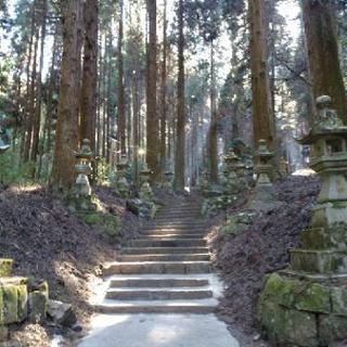 自然、神社、お寺好きな人