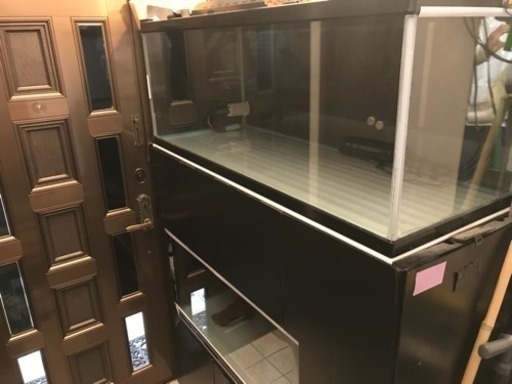 120センチガラス水槽と専用水槽台