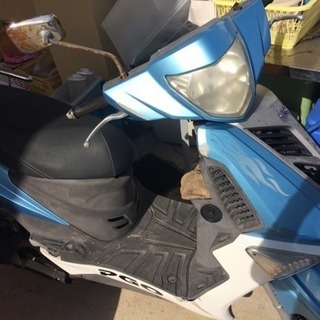 tigra125