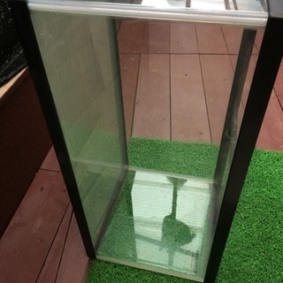 水槽お買い得セット 早いもの勝ち