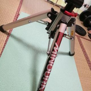 ミノウラ ハイブリッドローラーFG540