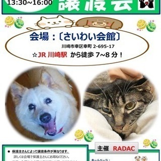 1/27保護犬猫譲渡会 in 川崎