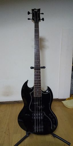ESP VIPER カスタム ベース 美品