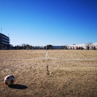 サッカー メンバー募集