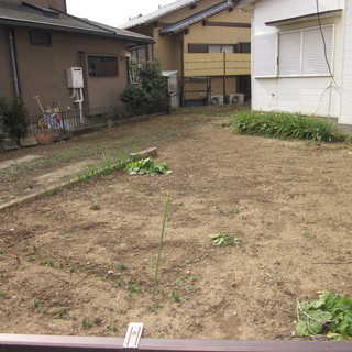 家賃大幅値下げしました！ペット大型犬も猫も多頭飼育Ok　広い庭付き５DK戸建 - 我孫子市