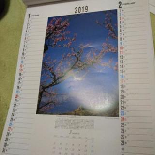 白旗史朗  花の写真集  2019カレンダー