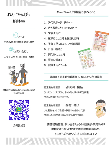 わんにゃん入門講座 Catkinta 大宮のセミナーのイベント参加者募集 無料掲載の掲示板 ジモティー