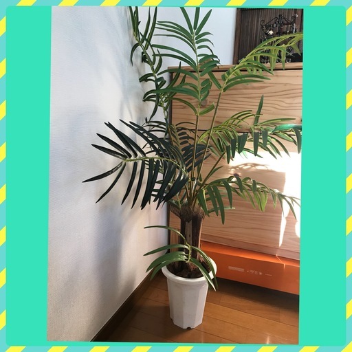 フェイク 観葉植物 コジャれたインテリアに！ 高さ100cm位