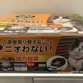 011507☆新品 来店引取価格！猫 トイレ☆