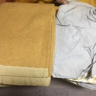 無料 毛布と薄めの掛け布団
