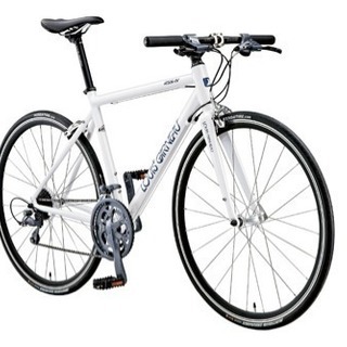 LOUIS GARNEAU ルイガノ RSR-IV クロスバイク フレームのみ RSR 4 / アールエスアール フォー / LOUIS GARNEAU / ルイガノ