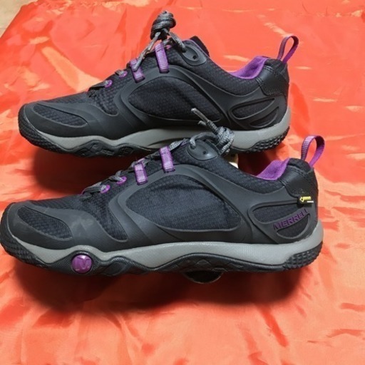 値下げ】メレル のシューズProterra  25cm Gore-tex  ゴアテックス