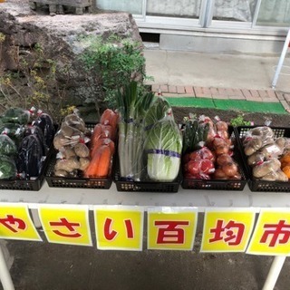 野菜販売100円市場(^з^)-☆