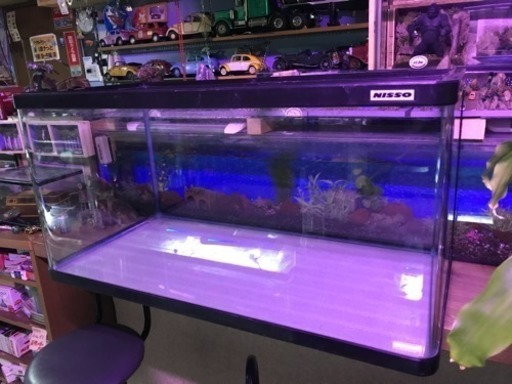 ９０センチガラス水槽中古