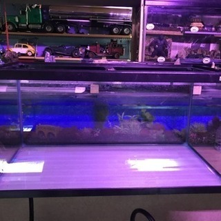 ９０センチガラス水槽中古