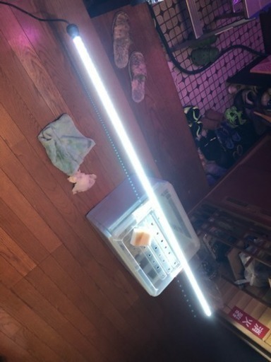 でんらい 水中LED 11000K 180センチ  アロワナ、熱帯魚等に！