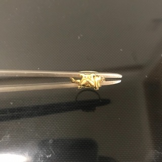 18K ブルドッグ リング