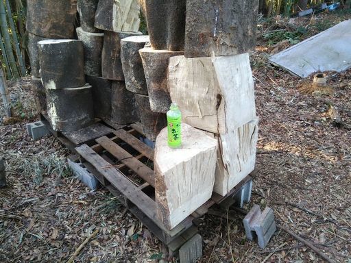 薪に！広葉樹エノキの玉切り丸太。【難物】アウトレット。長さ３５cm。軽トラ軽く山積み価格。茨城県潮来市。