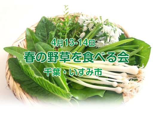 4 13 14 千葉 いすみ市 春野草を食べる親子会 シングルマザー シングルファザー 未婚ママ シングルマザー予備軍 Pupa ピューパ いすみの育児のイベント参加者募集 無料掲載の掲示板 ジモティー 4 13 14 千葉 いすみ市 春野草を食べる親子会 シングルマザー シングルファザー 未婚ママ シングルマザー予備軍 Pupa ピューパ いすみの育児のイベント参加者募集 無料掲載の掲示板 ジモティー