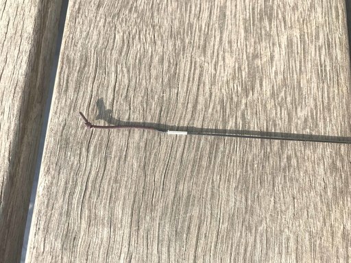 Used シマノ天平zt 硬調 Diyer 木田のその他の中古あげます 譲ります ジモティーで不用品の処分 Used シマノ天平zt 硬調 Diyer 木田のその他の中古あげます 譲ります ジモティーで不用品の処分