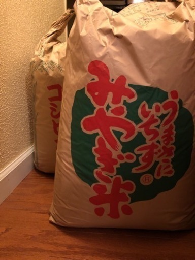 【お話中です】30年産 玄米60キロ