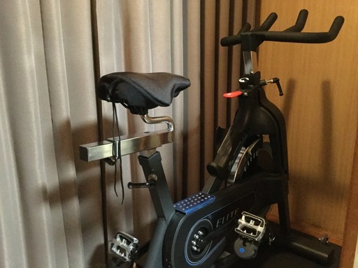 ☆ 美品 Horizon ホライズン フィットネスバイク ELITE IC7.1