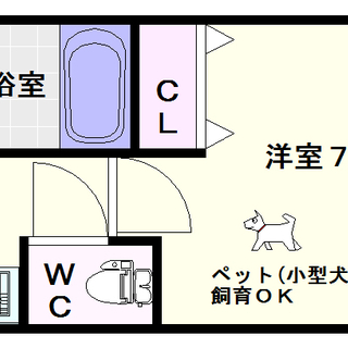 【LIVAZ　NAMBA　AIRY】3号タイプ！1Ｋタイプ！ペッ...