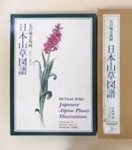 日本のポタ二カルアート