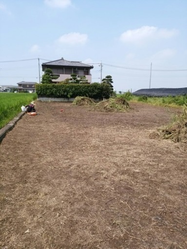 草刈り 草むしり 庭や田畑のお手入れ 金太郎 大阪の便利屋の無料広告 無料掲載の掲示板 ジモティー 草刈り 草むしり 庭や田畑のお手入れ 金太郎 大阪の便利屋の無料広告 無料掲載の掲示板 ジモティー
