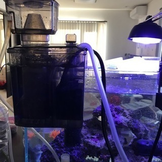 海水魚 水槽 飼育セット