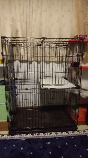 猫ゲージお売りします