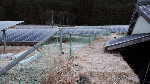 急募集 古座川町下露で 防草シートにガムテープを張る仕事を一緒にして下さい 太陽光パネル周辺 けんけん 串本のその他の無料求人広告 アルバイト バイト募集情報 ジモティー