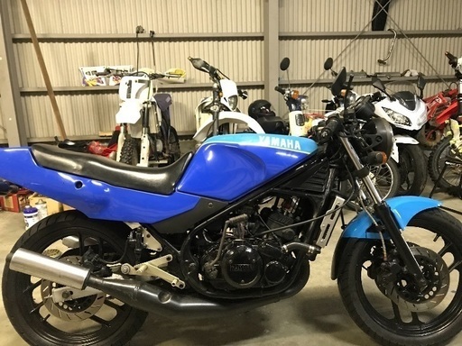 青RZ250Rゴロワーズ カラー