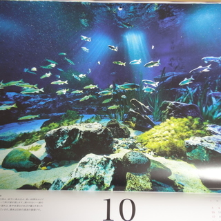 サンシャイン水族館 aquarium カレンダー 2019