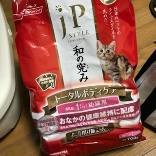 猫の生活に必要なアイテムセット