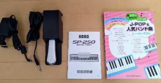 KORG SP-250 DIGITAL PIANO - 鍵盤楽器、ピアノ 