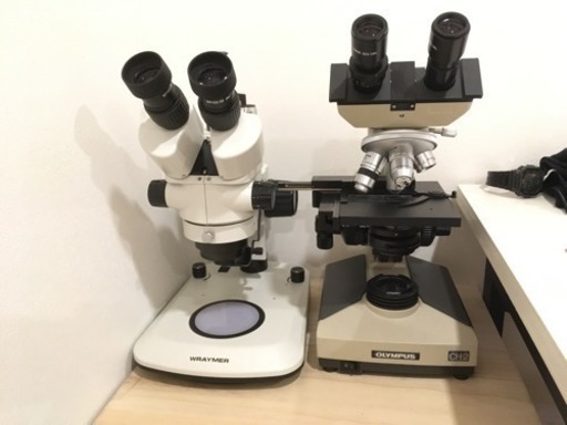 実体顕微鏡(レイマー)顕微鏡 (OLYMPUS)セット売り