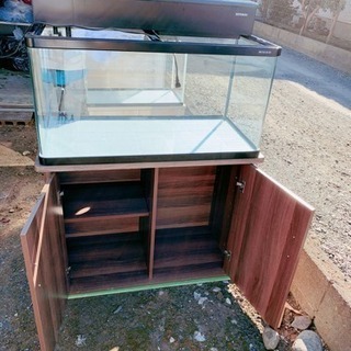 曲げガラス水槽 90㎝　台セット 90㎝水槽（曲げガラス）➕水槽台セット‼️