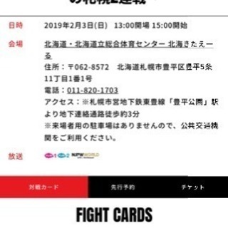 新日本プロレス 冬の札幌2連戦 2枚セット