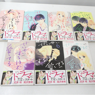 せいせいするほど愛してる 単行本 全7巻セット 北川みゆき フラ...