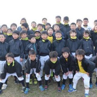 軟式少年野球部員募集 4年生以下大歓迎 青山少年 ダイヤのエース 萩原の野球のメンバー募集 無料掲載の掲示板 ジモティー