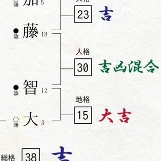 その他 かなり分厚い本