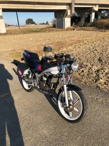 交換しませんか？ ns-1 後期型 好調！