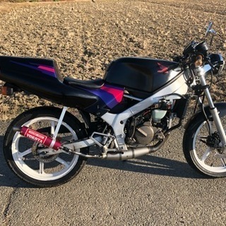 Nao　ホンダNS-1 NSR50 ホンダ系 ホンダ（HONDA） NS-1の型式・スペックならバイクブロス