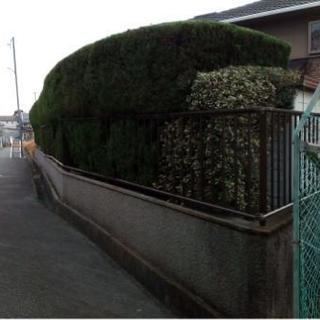 植木の剪定専門(割引制度あり)