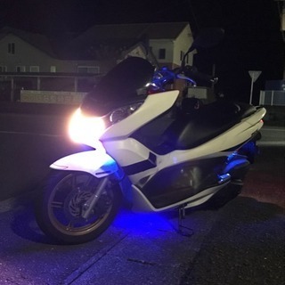 最終値下げ PCX125 SpecialEdition JF28 【公式通販】