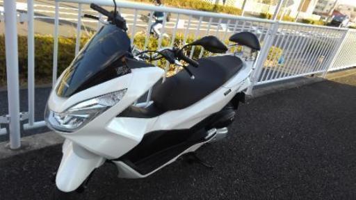 PCX150 程度良子　自賠責保険一年以上