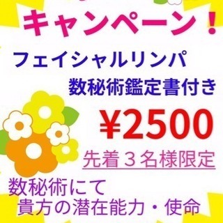 限定3名！フェイシャルリンパ×数秘術鑑定書2500円 2/10ま...